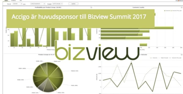 Accigo sponsrar Bizview Summit.jpg